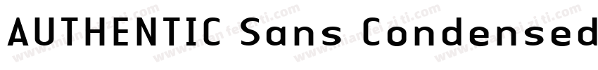 AUTHENTIC Sans Condensed 130字体转换